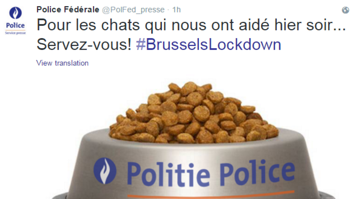 Η βελγική αστυνομία ευχαρίστησε τους πολίτες στο Twitter με... γατοκροκέτες!